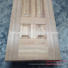 Puerta principal diseño de madera tablero de la puerta registros naturales nogal puerta piel